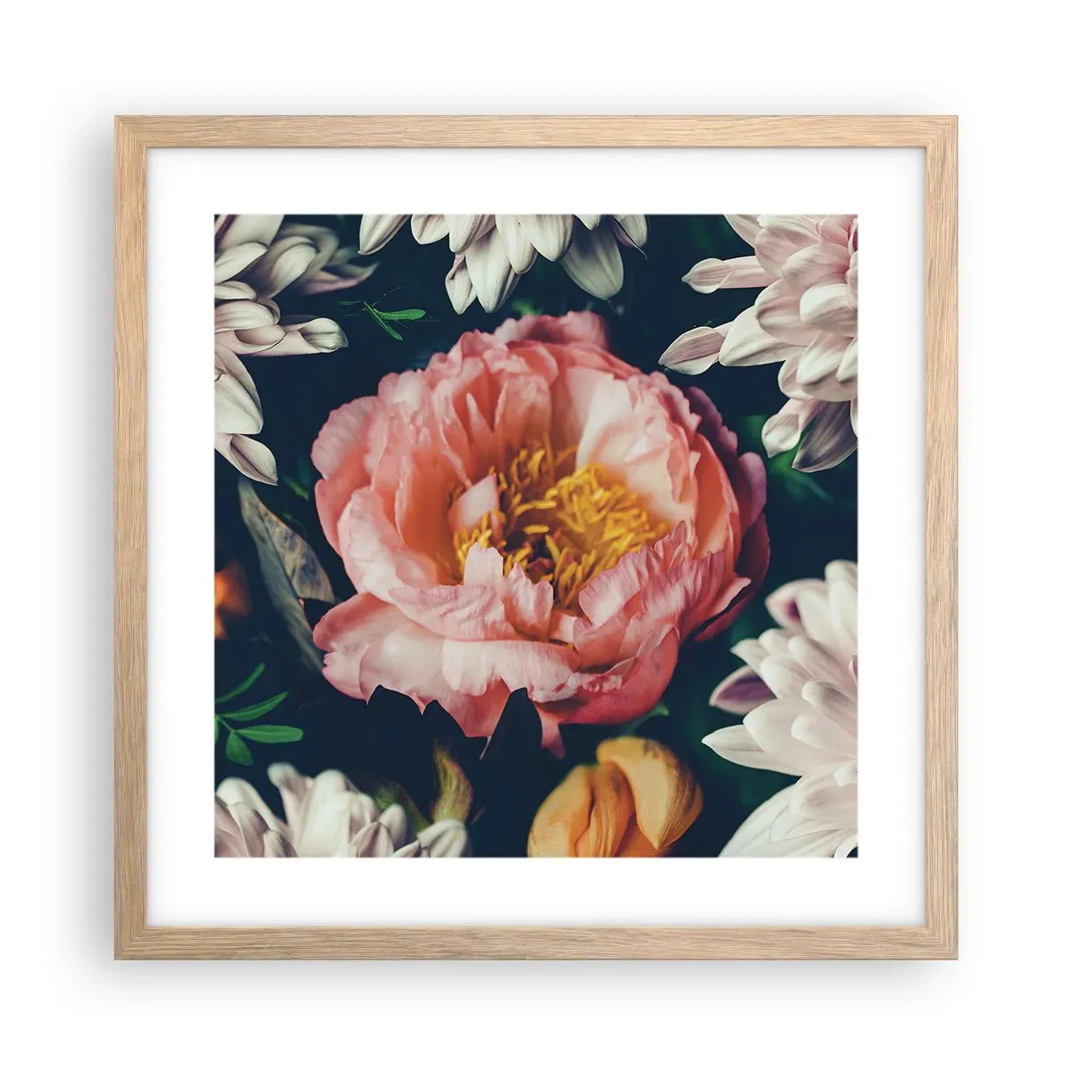 Plagát v ráme zo svetlého duba - S barokovým prepychom - 40x40 cm