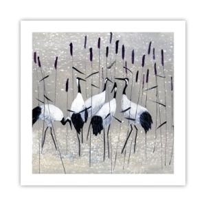 Plagát - Medzi svojimi - 50x50 cm