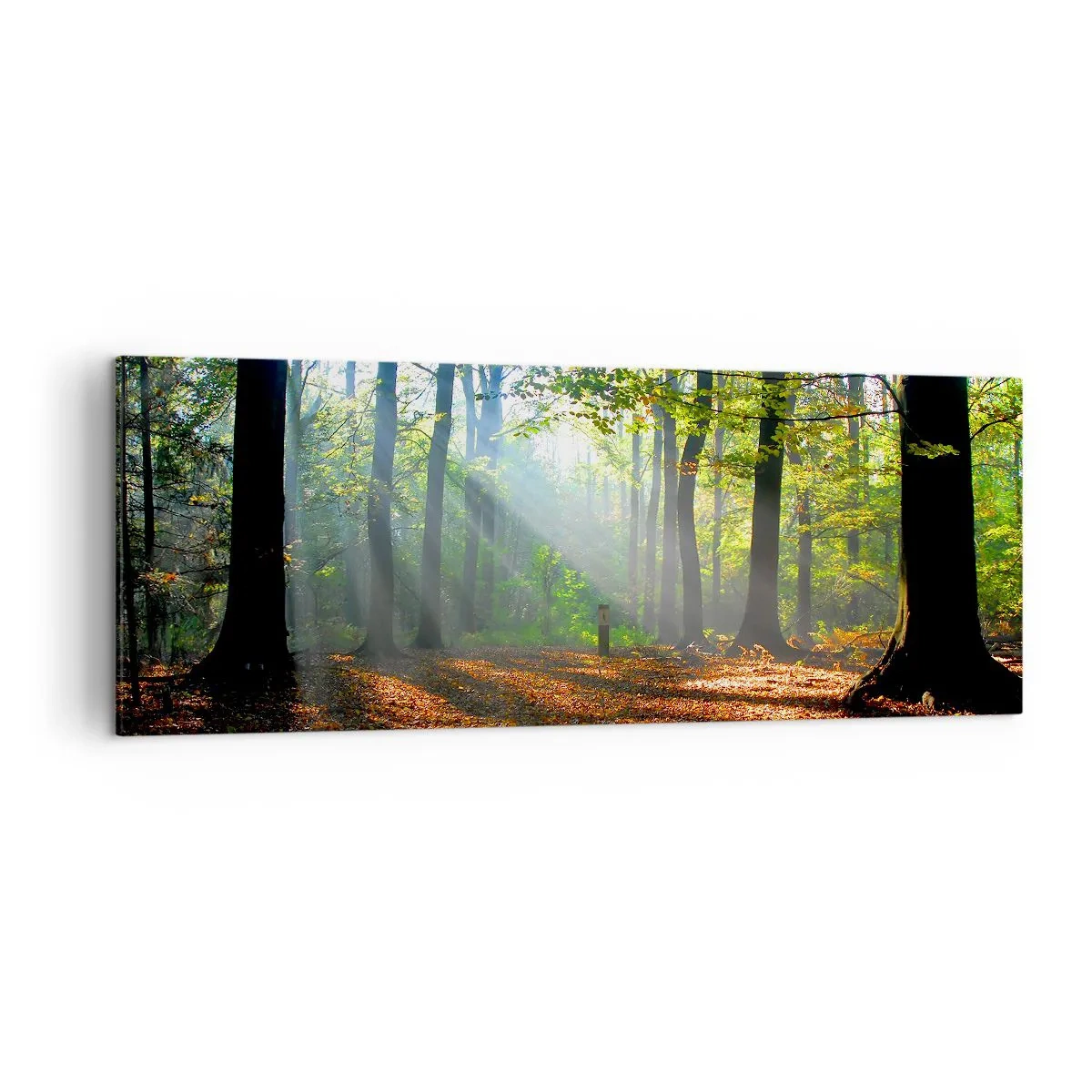 Obraz na plátne - Svetlá a tiene - 140x50 cm