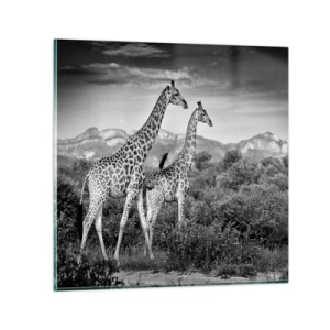 Obraz na skle - Vyššie kruhy v Afrike - 30x30 cm