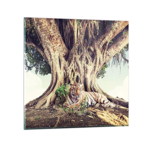 Obraz na skle - Pohľad z knihy Mojžišovej - 60x60 cm