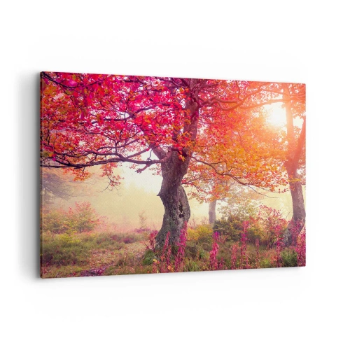 Obraz na plátne - Šialenstvo rozkvetu - 100x70 cm
