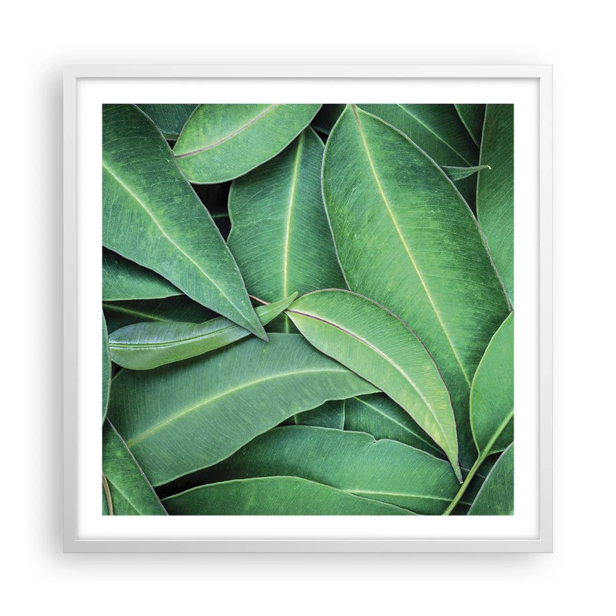 Plagát v bielom ráme - Šťavnaté a svieže - 60x60 cm