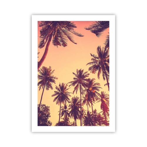 Plagát - Tropická variácia - 50x70 cm