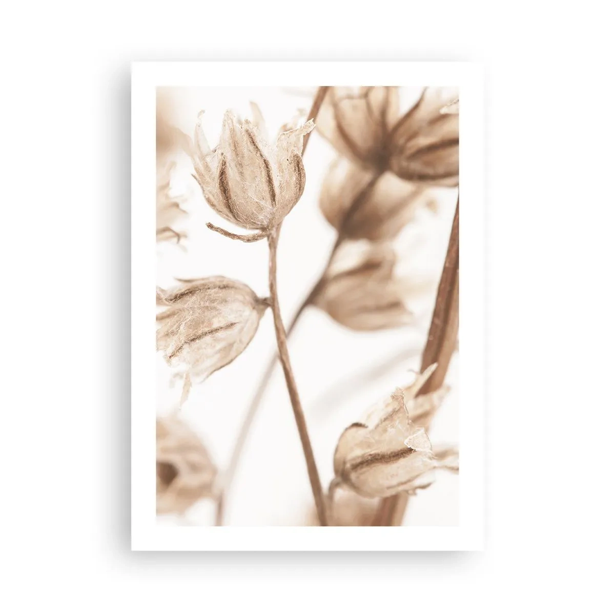 Plagát - Ozveny konca leta - 50x70 cm