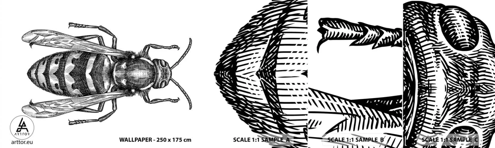 Vzorka Fototapeta Standard Eco - Z hmyzej planéty - Osa, Hmyz, Minimalistický - 100x30 cm