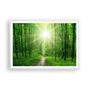 Plagát v bielom ráme - Zelená katedrála - 100x70 cm