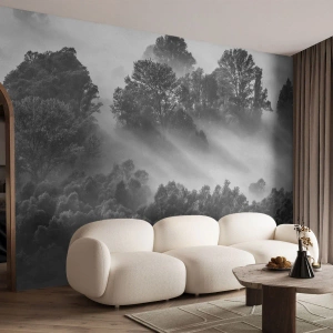 Fototapeta Premium Sand - Prebúdzanie zo spánku - Krajina, les, Hmla - 200x140 cm