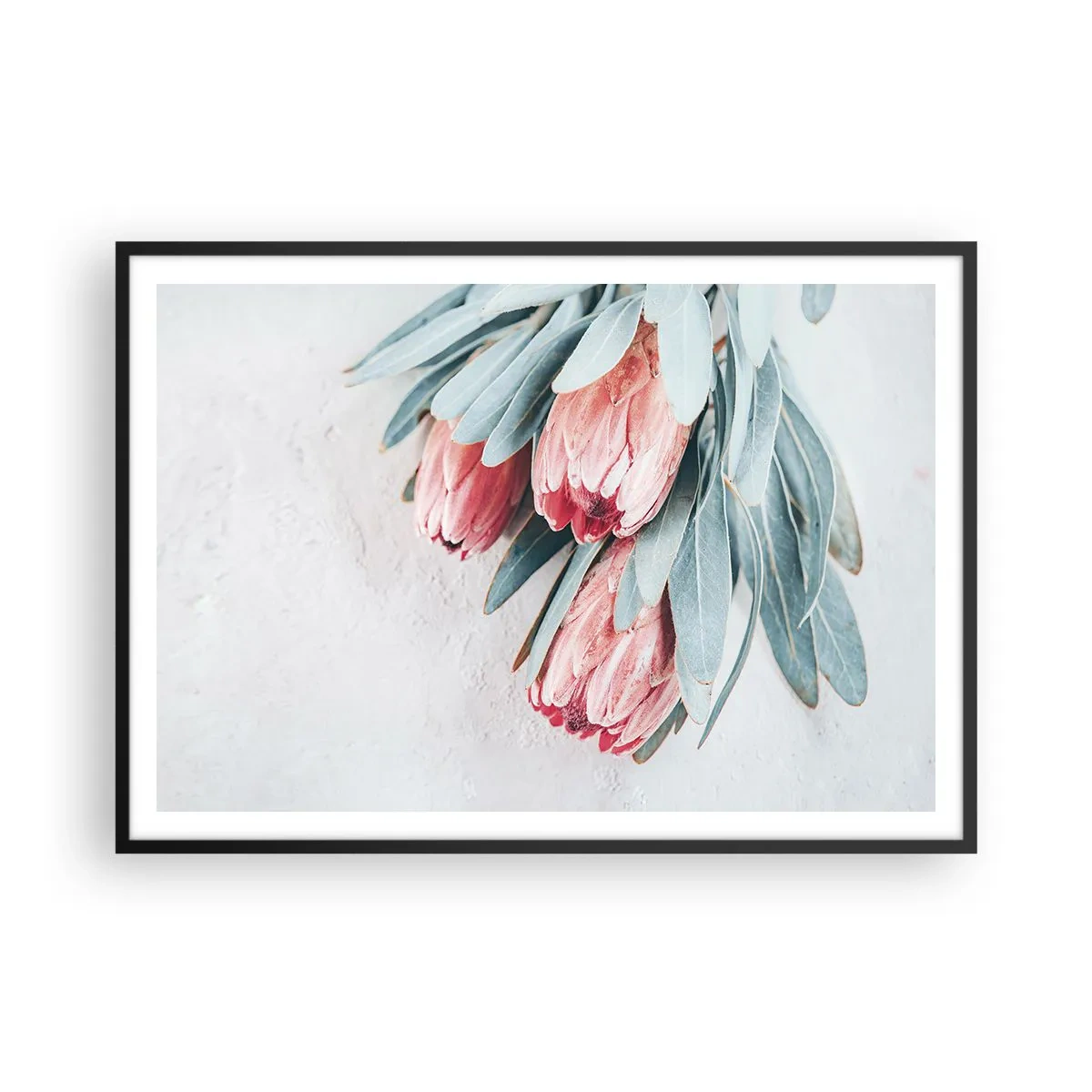 Plagát v čiernom ráme - Zahanbené svojou vlastnou krásou - 100x70 cm