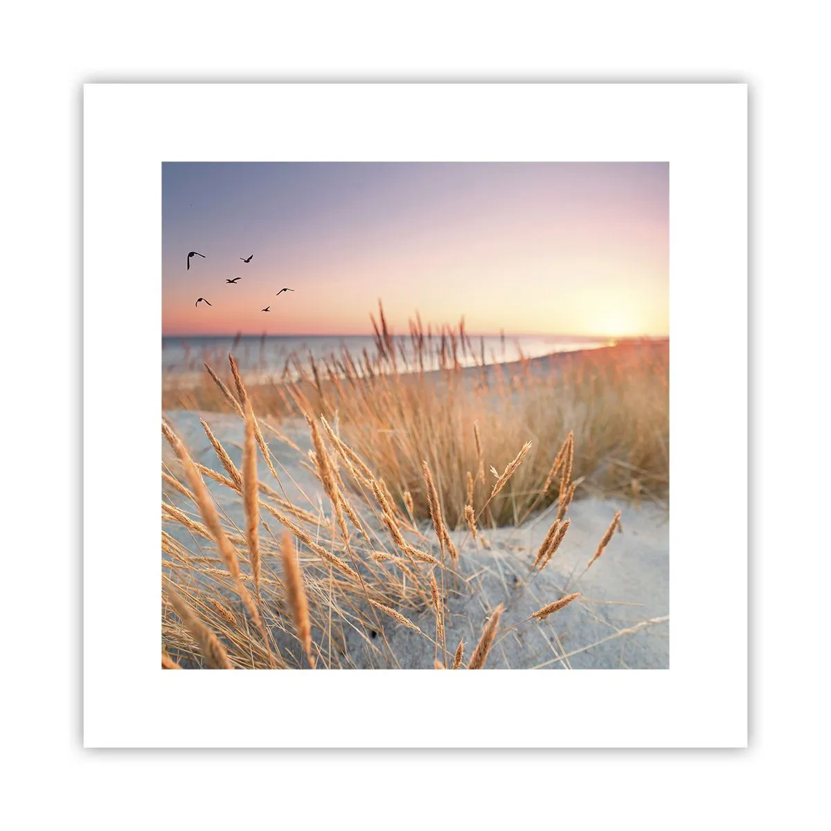 Plagát - Baltská uspávanka - 30x30 cm