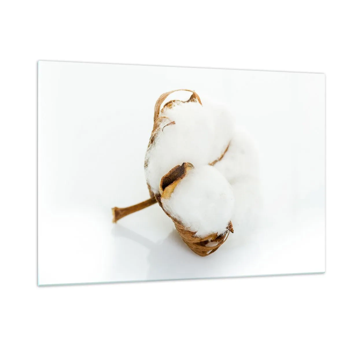 Obraz na skle - Mäkká od prírody - 120x80 cm