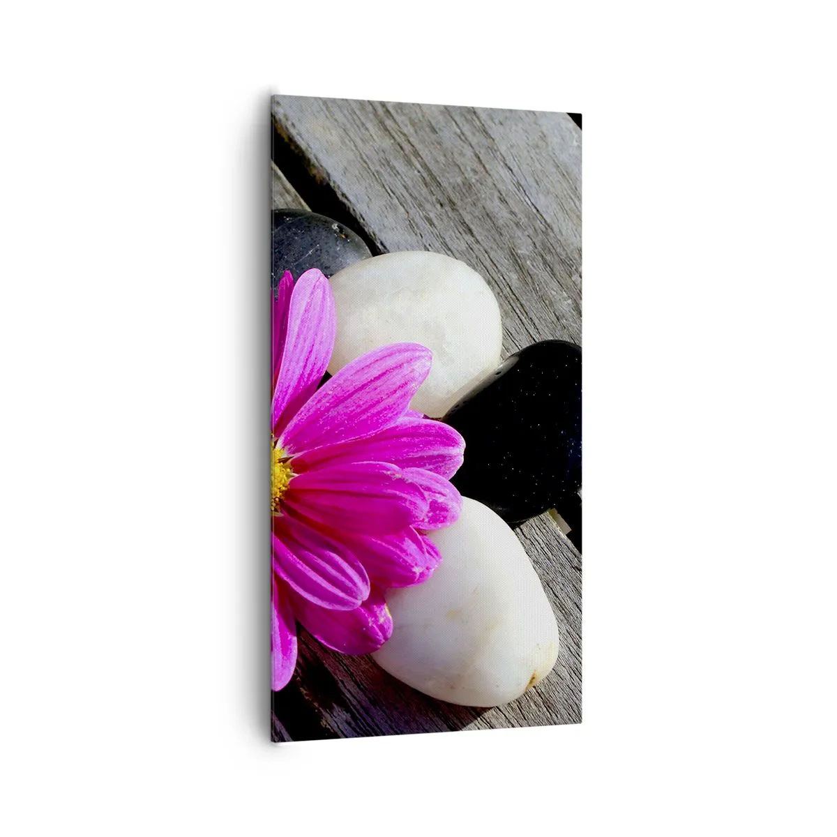 Obraz na plátne - Odpočinok na móle - 65x120 cm