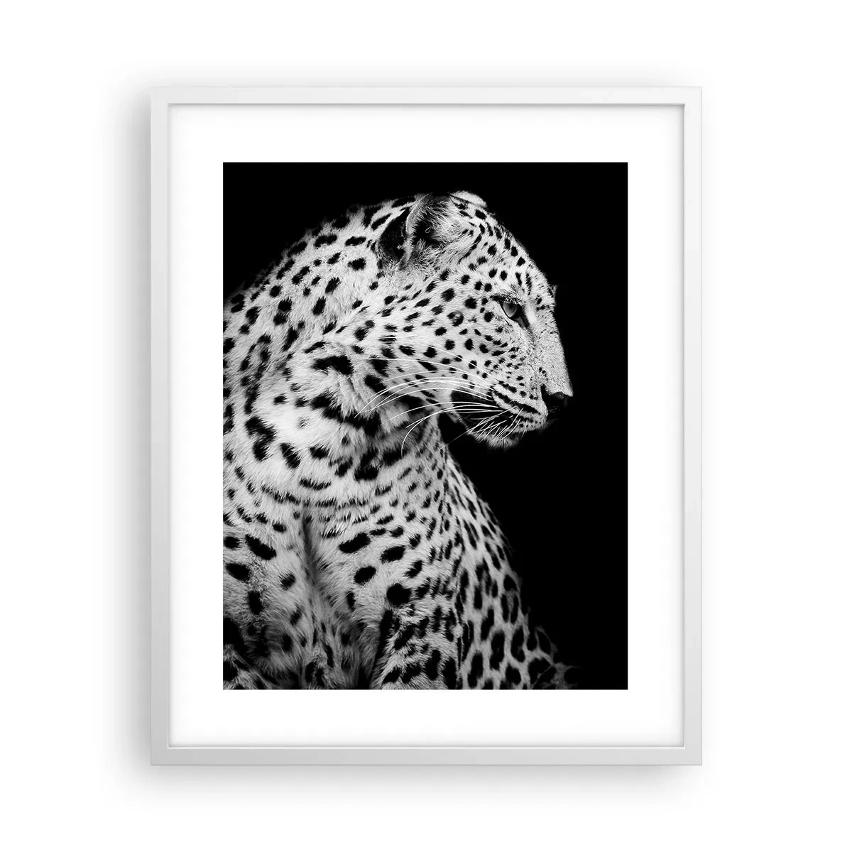 Plagát v bielom ráme - Pravý profil perfektný! - 40x50 cm