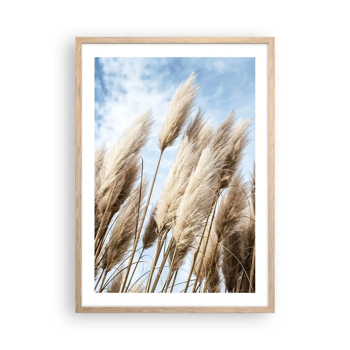 Plagát v ráme zo svetlého duba - Slnečné a veterné pohladenie - 50x70 cm