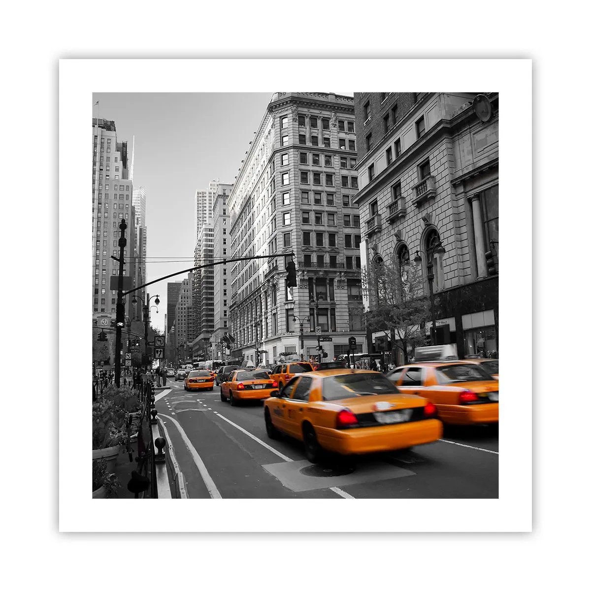 Plagát - Slnko veľkomesta - 50x50 cm