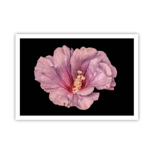 Plagát - Priamo do srdca - 100x70 cm