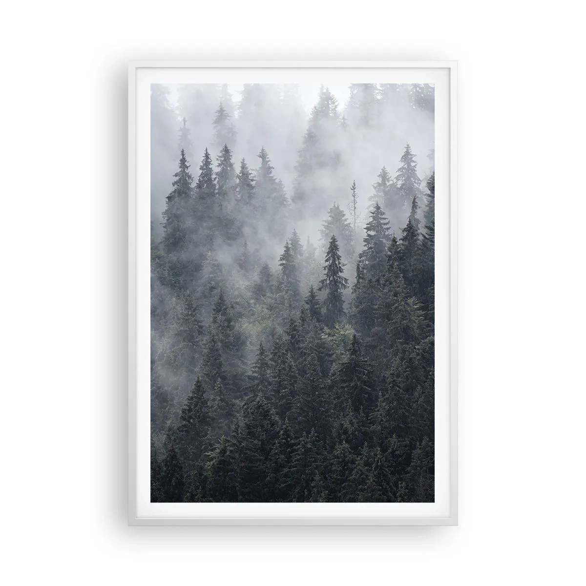 Plagát v bielom ráme - Lesné svitania - 70x100 cm