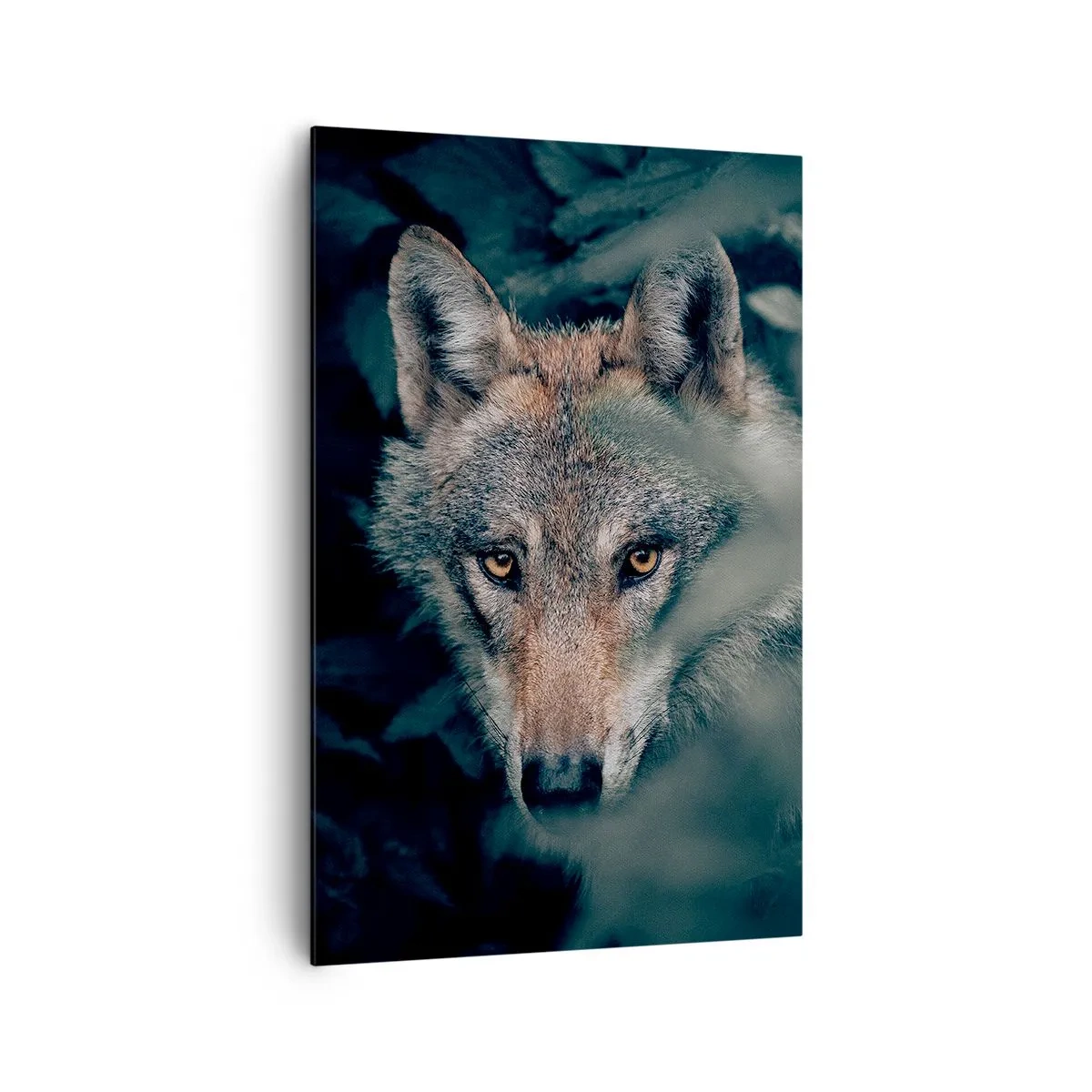 Obraz na plátne - Predátor - 80x120 cm