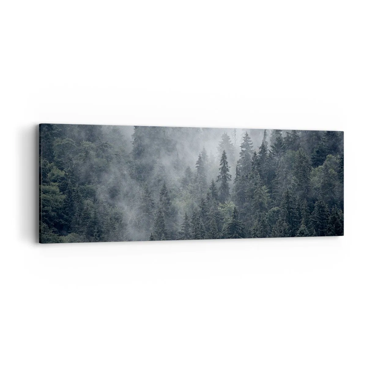 Obraz na plátne - Lesné svitania - 90x30 cm