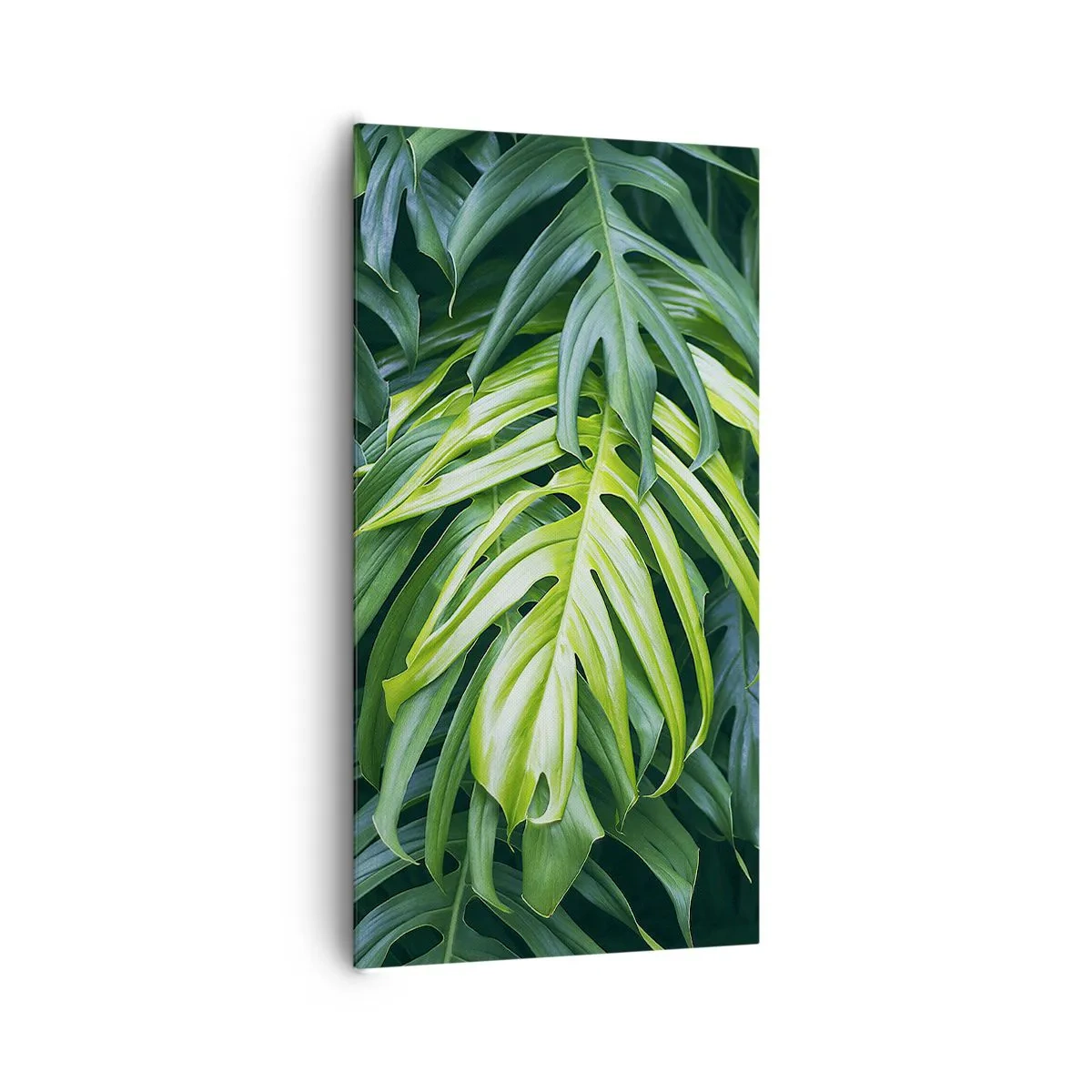 Obraz na plátne - Ponoriť sa do sviežosti - 65x120 cm