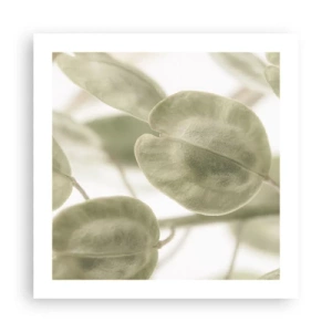 Plagát - Na začiatku bolo lístie… - 50x50 cm