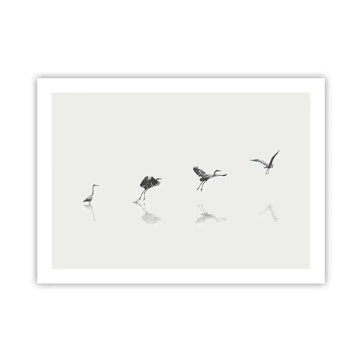 Plagát - Štyri jednoduché kroky - 70x50 cm