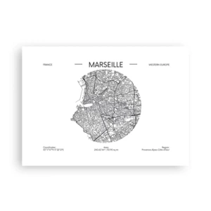Plagát - Anatómia Marseille - 70x50 cm
