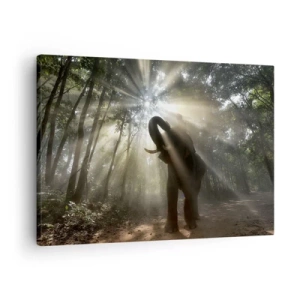 Obraz na plátne - Slon v lese obklopený lúčmi svetla v rannej hmle - 70x50cm - Pod šťastnou hviezdou - Moderná nástenná dekorácia do obývacej izby a spálne ARTTOR