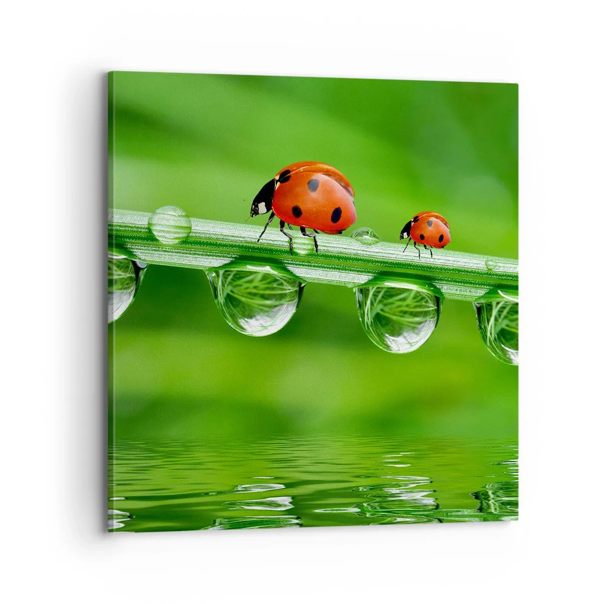 Obraz na plátne - Na cestách celé leto - 70x70 cm