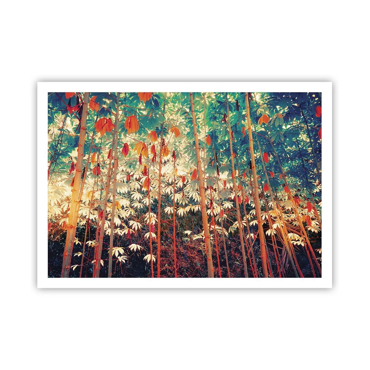 Plagát - Tajný život listov - 100x70 cm
