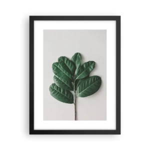 Plagát v čiernom ráme - Kresba samotnej prírody - 30x40 cm