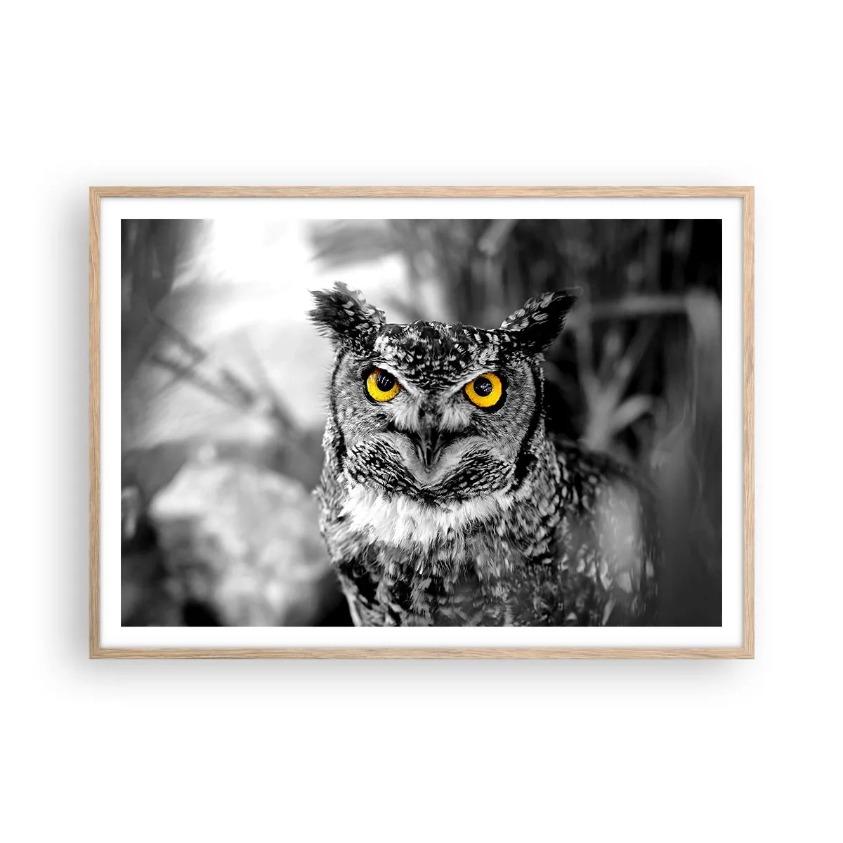 Plagát v ráme zo svetlého duba - Nič sa neschová - 100x70 cm