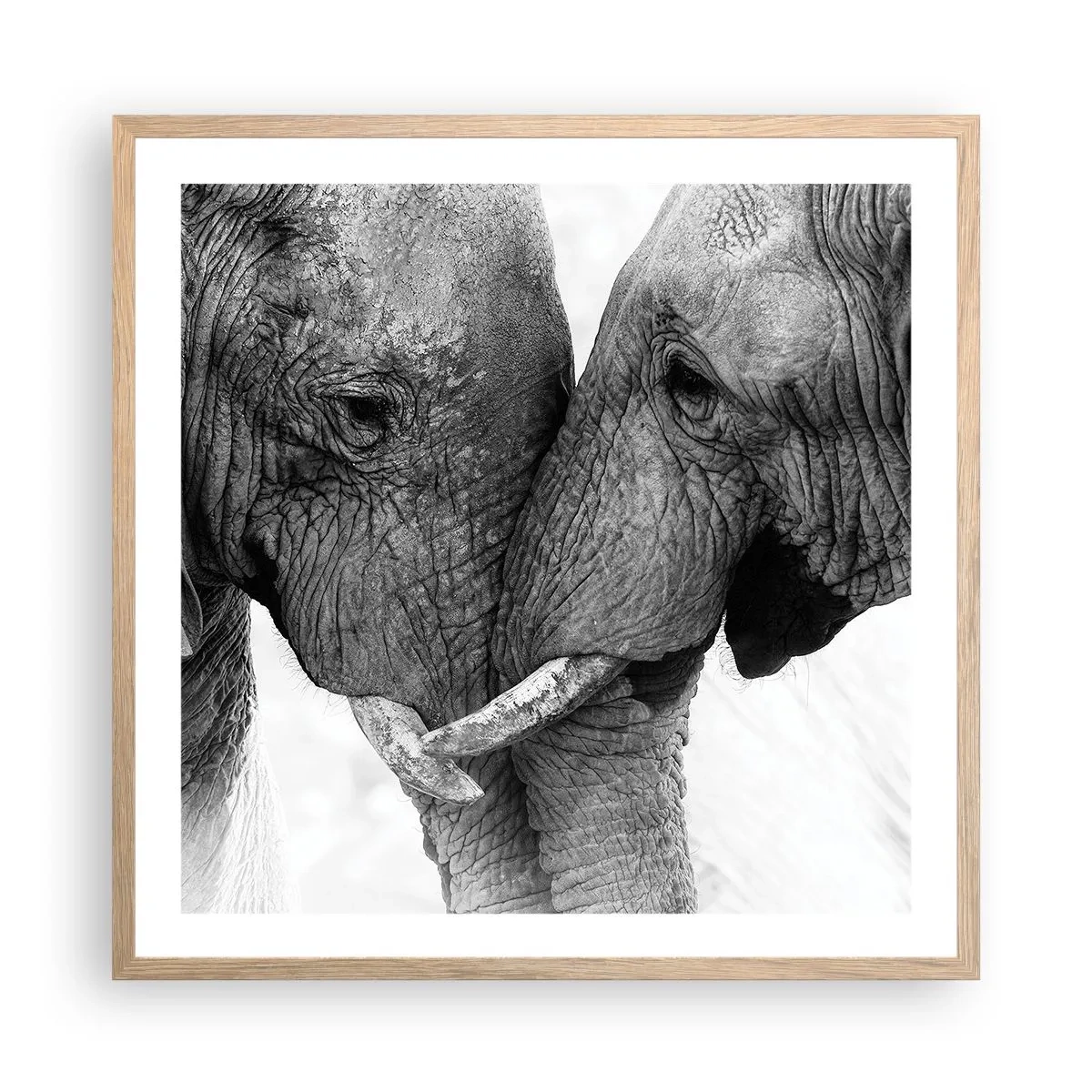 Plagát v ráme zo svetlého duba - Úprimné vyznanie - 60x60 cm