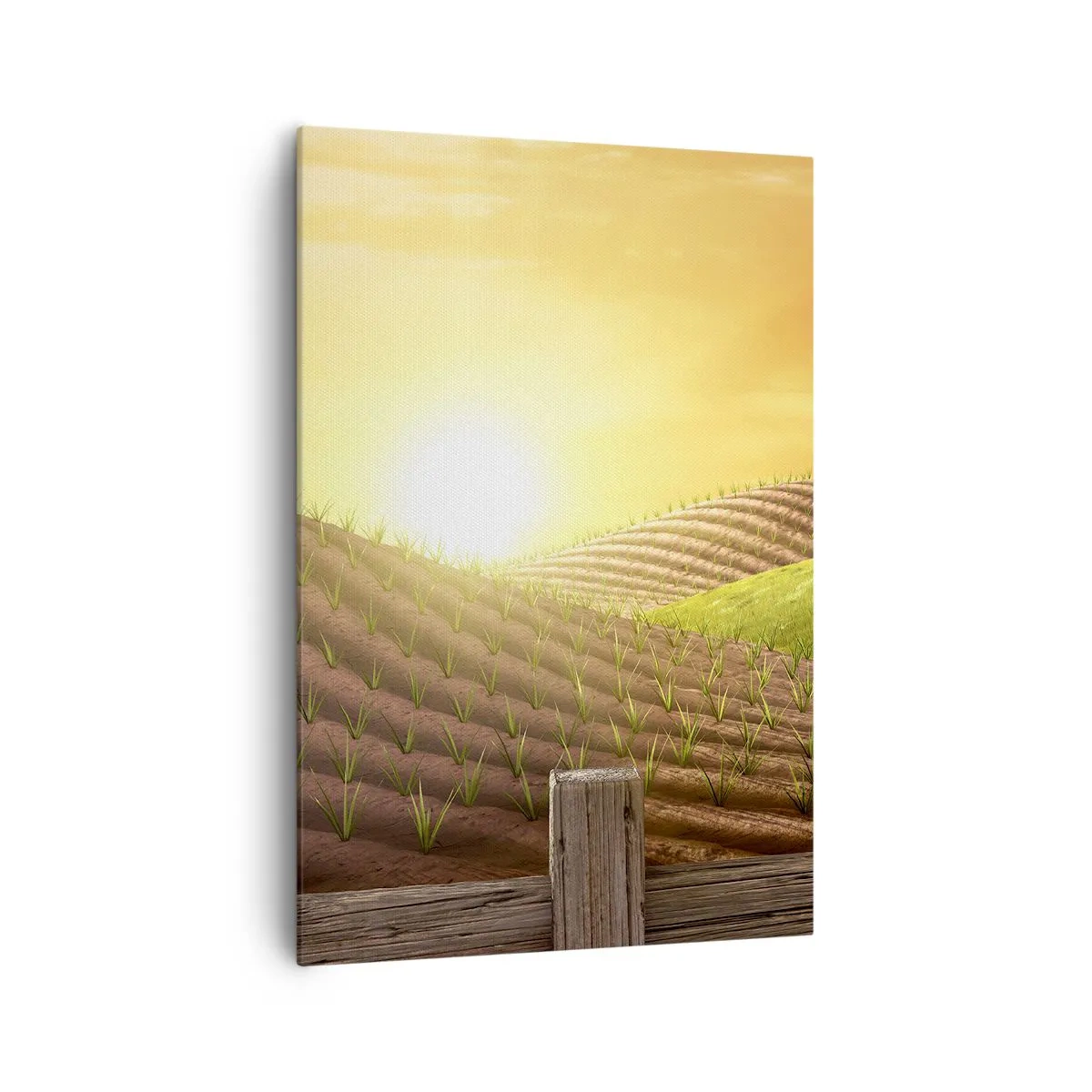 Obraz na plátne - Farma ako z rozprávky - 70x100 cm