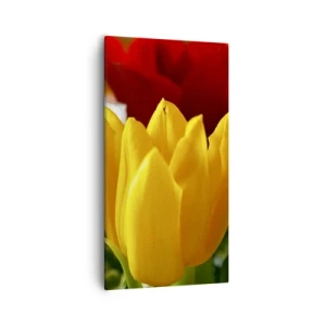 Obraz na plátne - Tulipánová horúčka - 55x100 cm