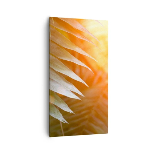 Obraz na plátne - Ráno v džungli - 55x100 cm