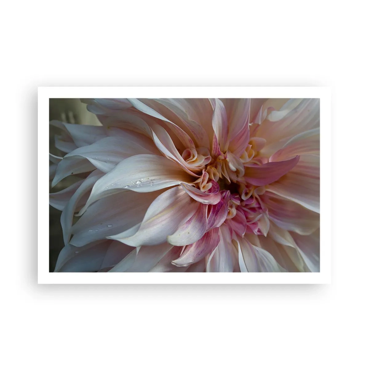 Plagát - Kvitnúca sviežosť - 91x61 cm