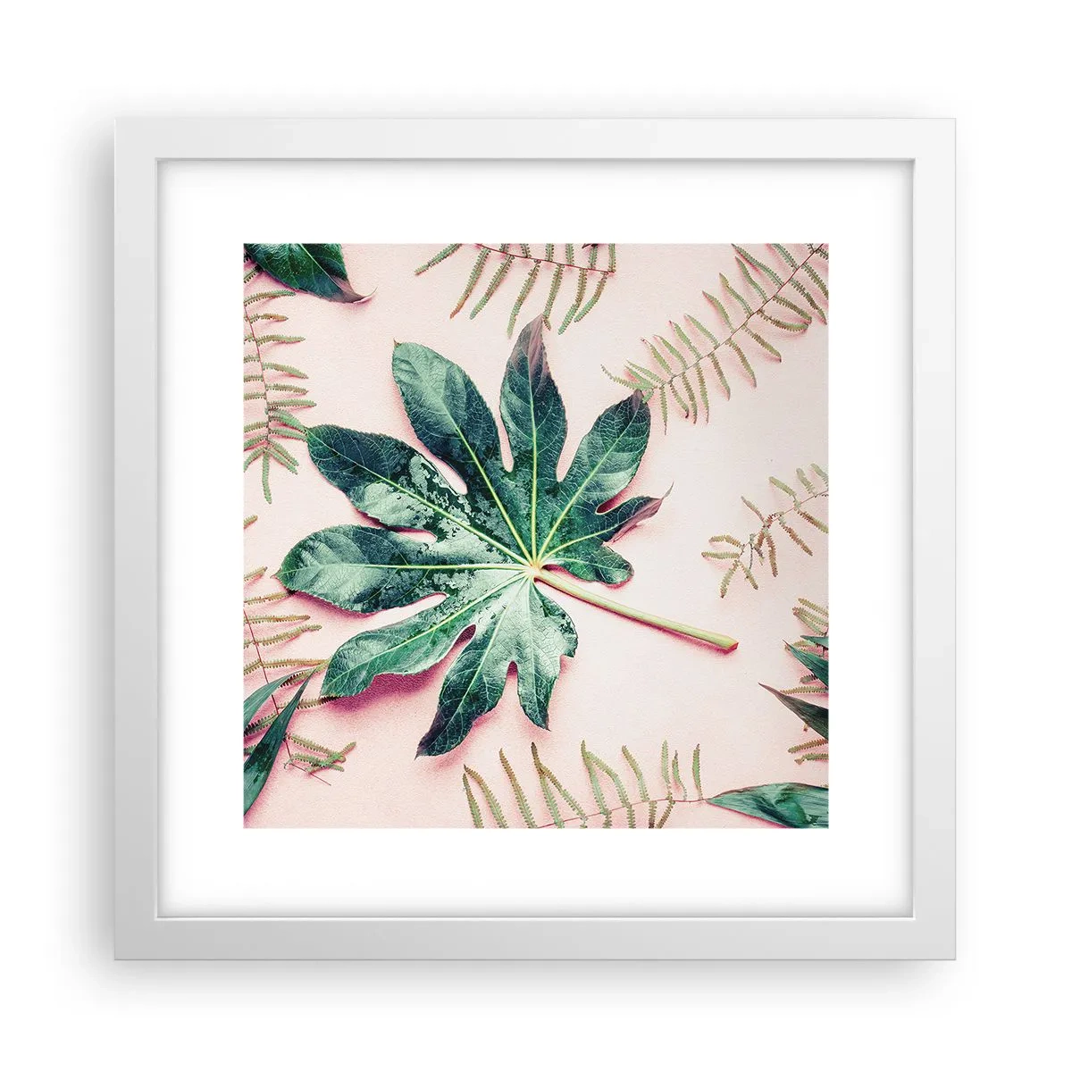 Plagát v bielom ráme - Štúdia zelenej na ružovom pozadí - 30x30 cm
