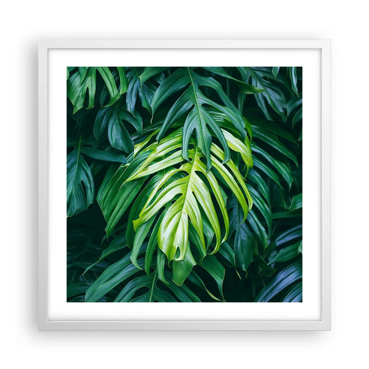 Plagát v bielom ráme - Ponoriť sa do sviežosti - 50x50 cm