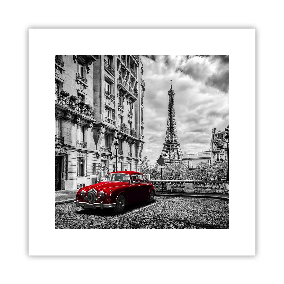 Plagát - Dravec v meste - 30x30 cm