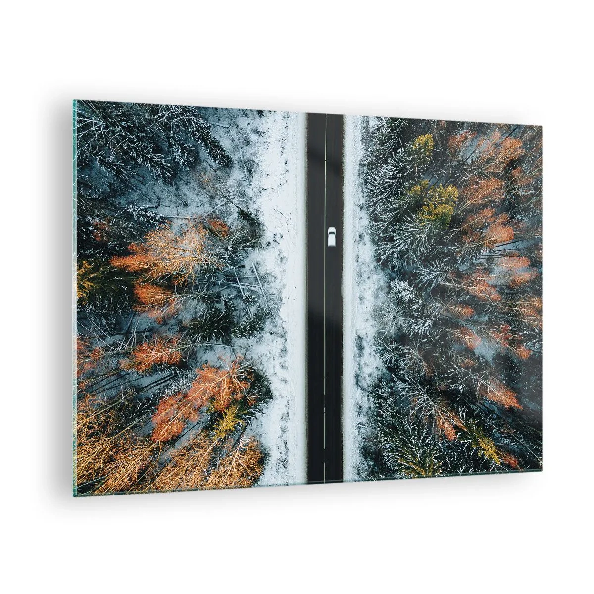 Obraz na skle - Zimná cesta cez zasnežený les s farebnými stromami - 70x50cm - Cez zimný les - Moderná nástenná dekorácia do obývacej izby a spálne ARTTOR