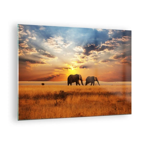 Obraz na skle - Slony na africkej savane pri západe slnka - 70x50cm - Rodinná prechádzka - Moderná nástenná dekorácia do obývacej izby a spálne ARTTOR