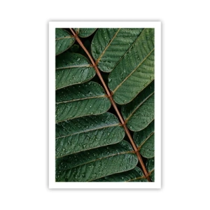 Plagát - V zelenom rytme - 61x91 cm