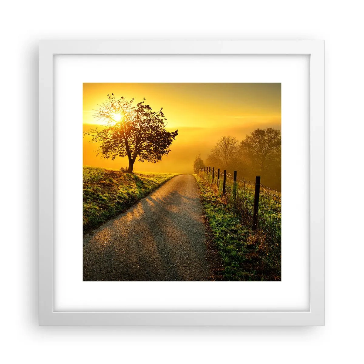 Plagát v bielom ráme - Medové popoludnie - 30x30 cm