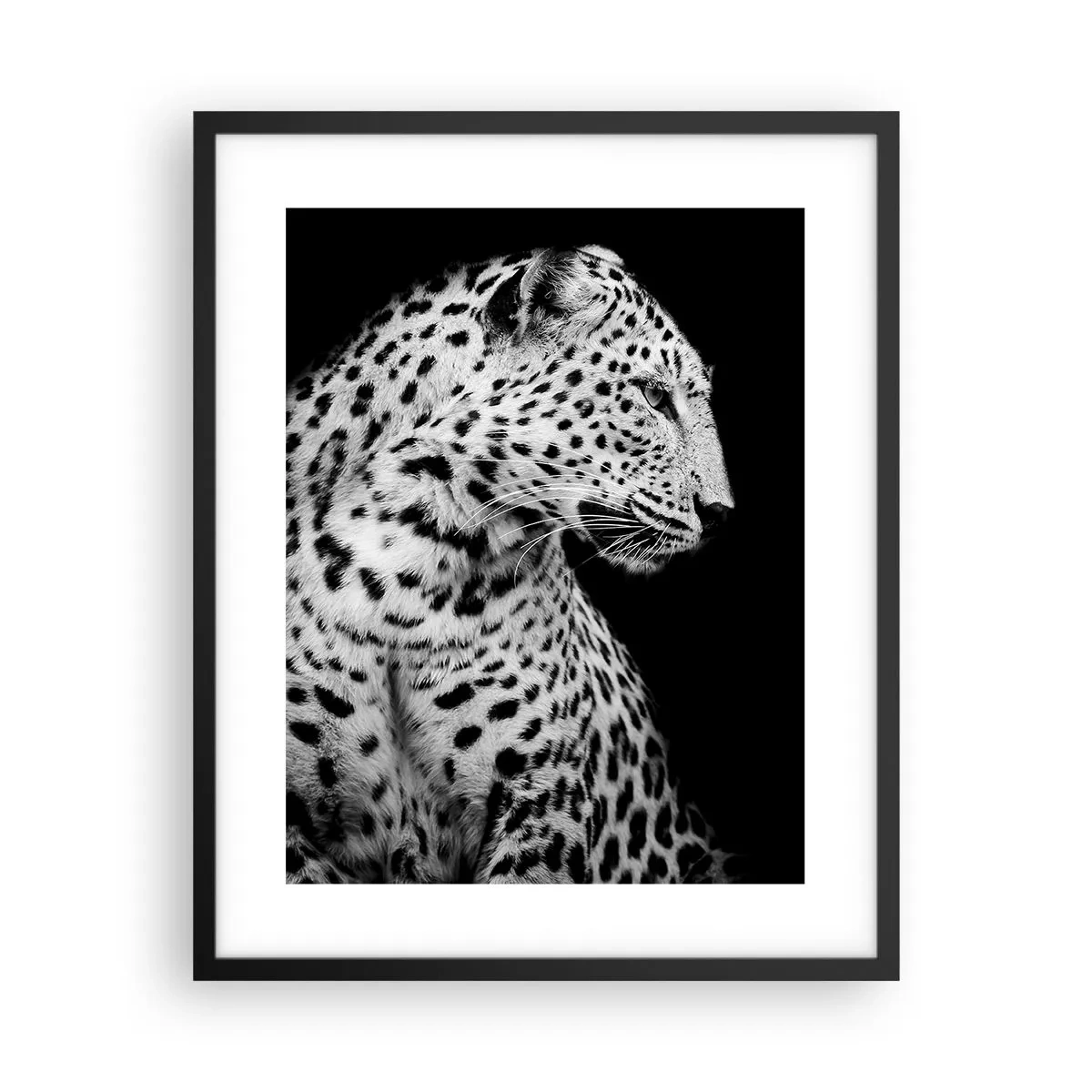 Plagát v čiernom ráme - Pravý profil perfektný! - 40x50 cm