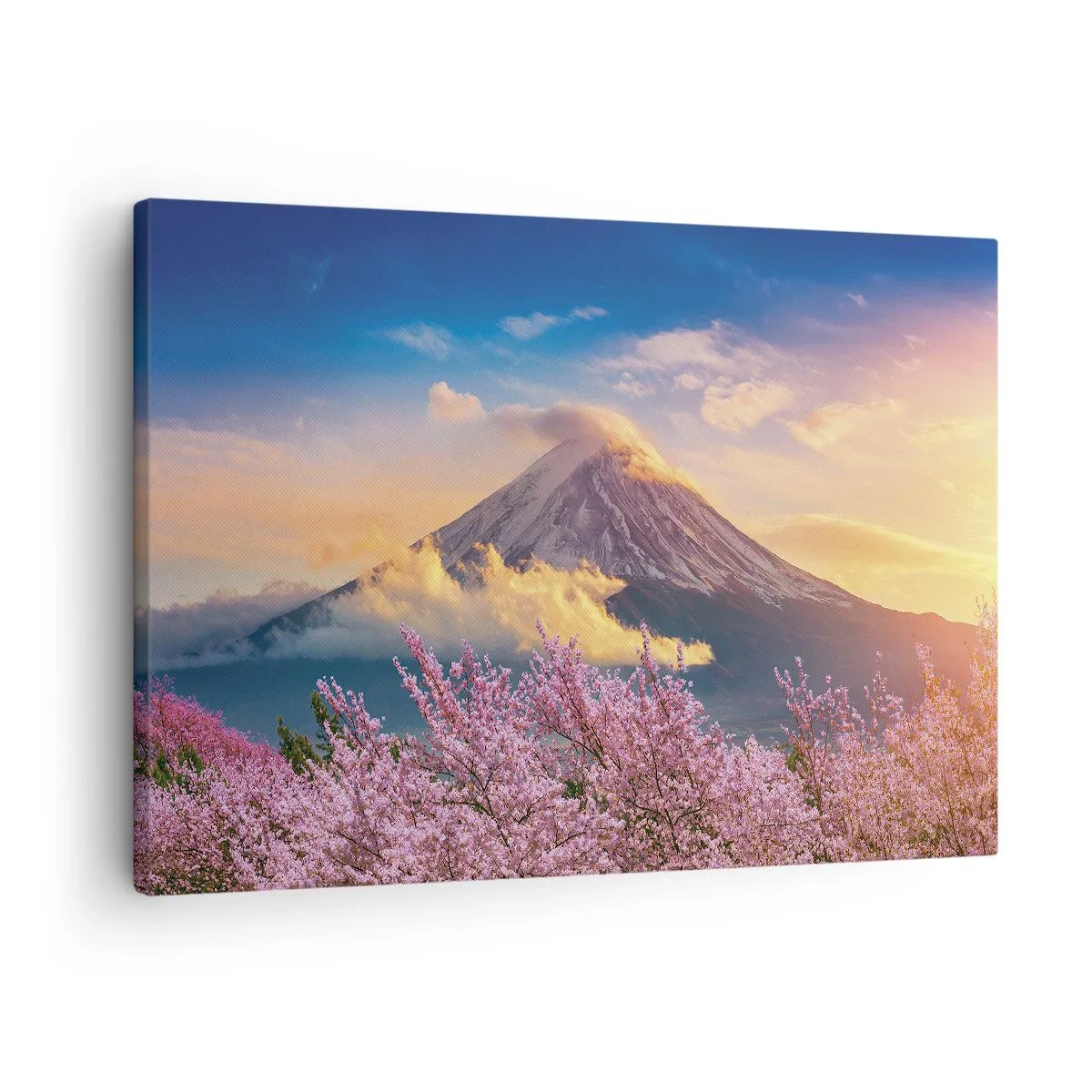 Obraz na plátne - Hora Fudži s čerešňovými kvetmi v pozadí pri západe slnka - 70x50cm - Japonská sviatosť - Moderná nástenná dekorácia do obývacej izby a spálne ARTTOR