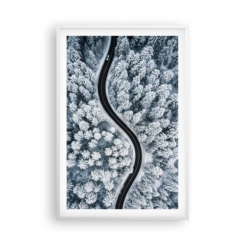 Plagát v bielom ráme - Zimným lesom - 61x91 cm