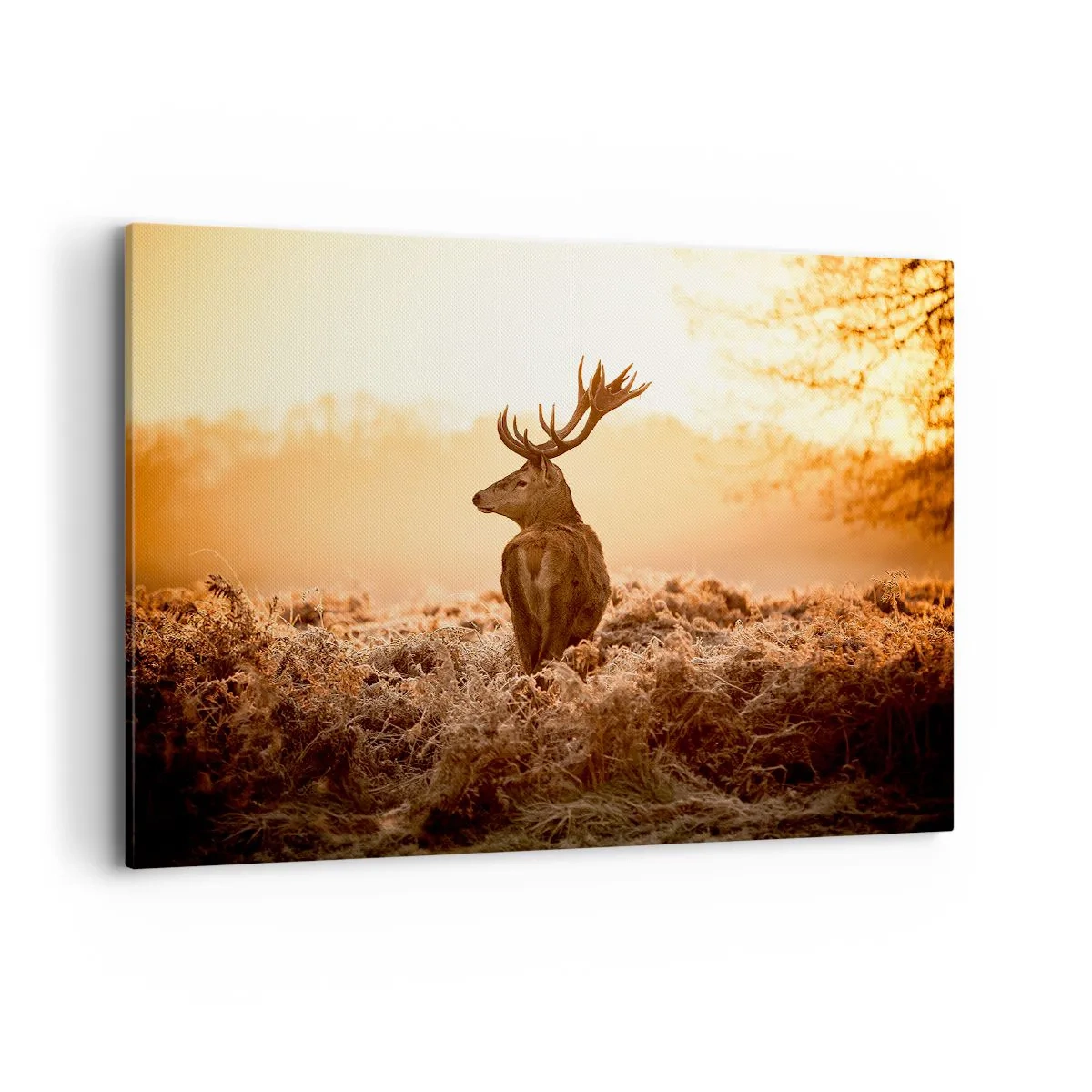 Obraz na plátne - Pán na panstve - 100x70 cm