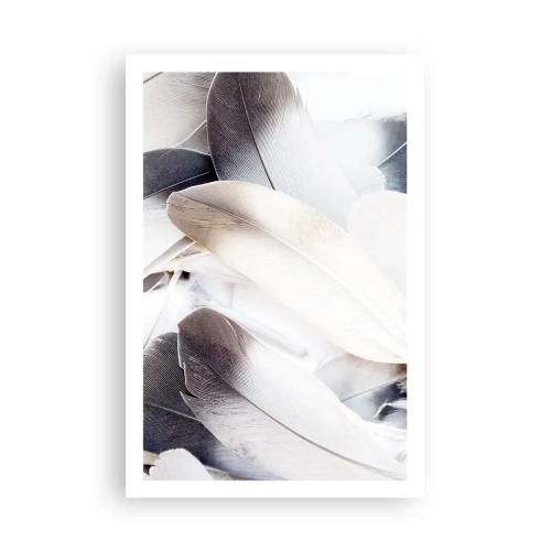 Plagát - Takmer anjelské - 61x91 cm