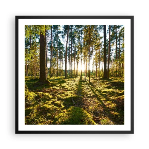 Plagát v čiernom ráme - …Za siedmimi lesmi - 60x60 cm
